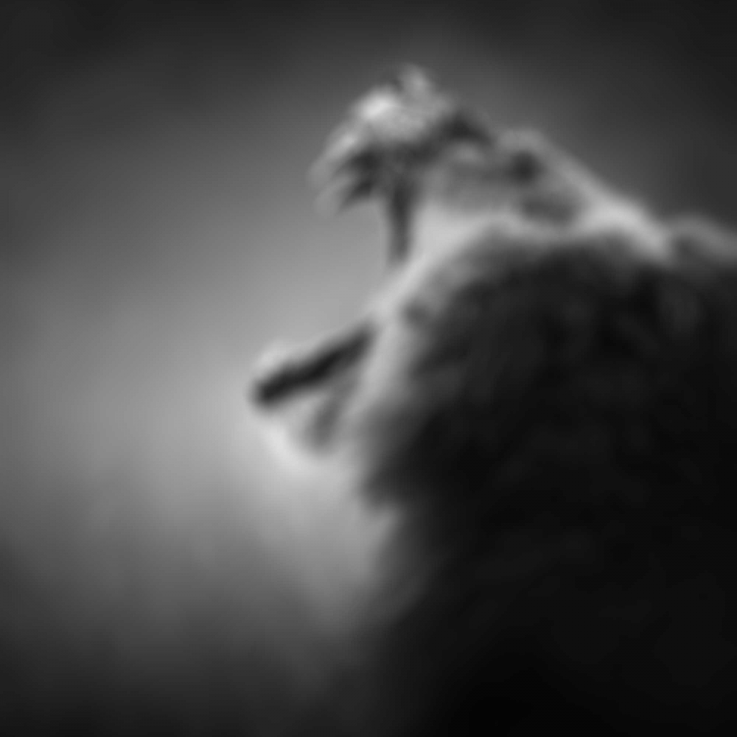 Side Gallery Side Gallery